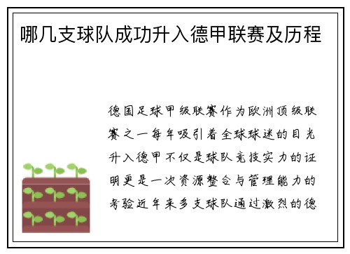 哪几支球队成功升入德甲联赛及历程
